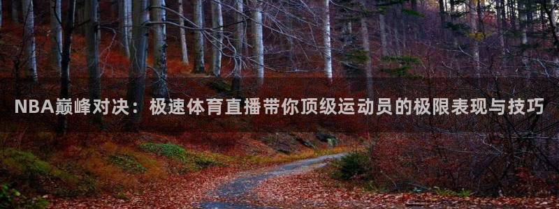 极速体育视频直播：NBA巅峰对决：极速体育直播带你顶级运动员的极限表现与技巧