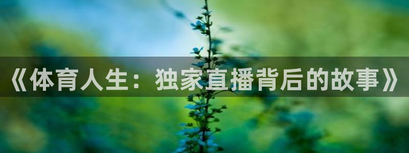极速篮球直播：《体育人生：独家直播背后的故事》