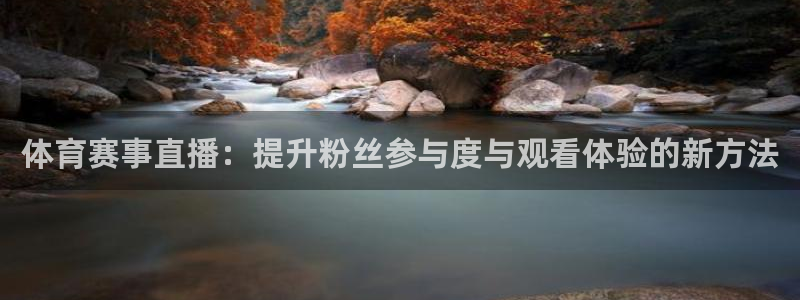极速体育nba直播直播吧：体育赛事直播：提升粉丝参与度与观看体验的新方法